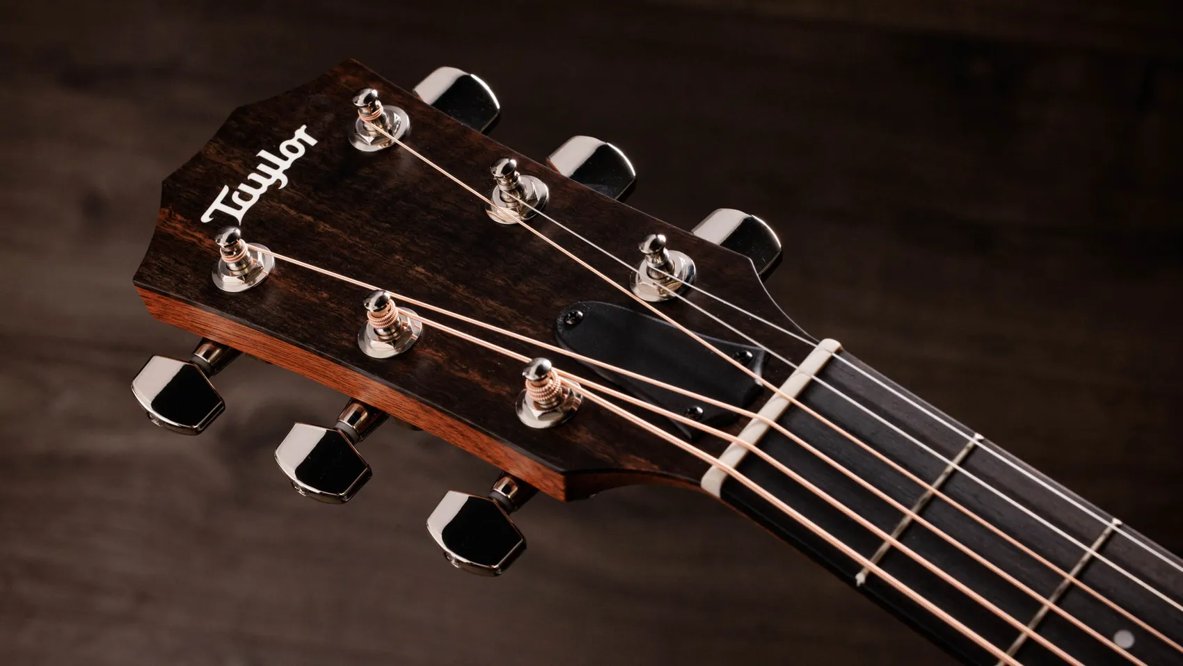 サペリ・アコースティック・エレクトリックギターTaylor Guitars